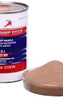 Osi Pure Artemia Eggs