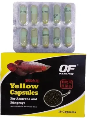 Ocean Free Arowana Yellow Capsule