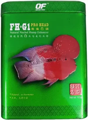 Ocean Free FH G1 Pro HEAD