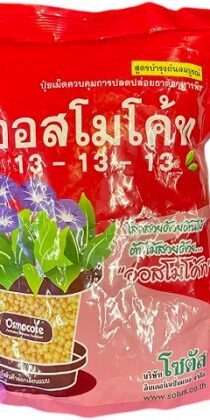 Osmocote 13-13-13 Fertilizer — Balanced NPK Formula for Healthy Plant Growth (1kg)