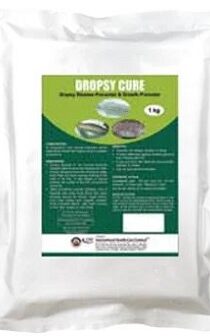 PVS Dropsy Cure — Effective Fish Treatment for Dropsy Disease (1KG)