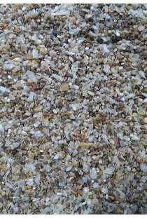 Premium Seashells Granules — Natural Reef Substrate for Marine, Cichlid & Freshwater Aquariums (9kg)