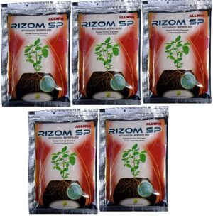 Allwin Rizom Sp
