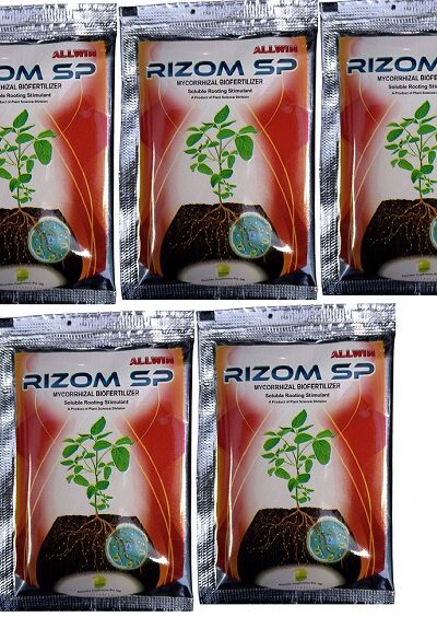 Allwin Rizom Sp