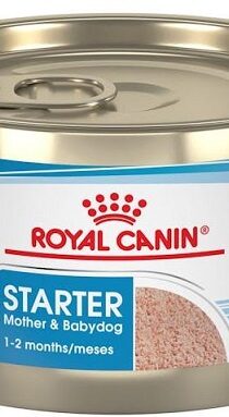 Royal Canin Starter Mousse