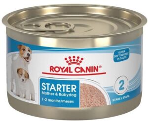 Royal Canin Starter Mousse