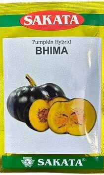 Sakata BHIMA Hybrid Pumpkin Seeds — High-Yield Hybrid Pumpkin Seeds (40g)