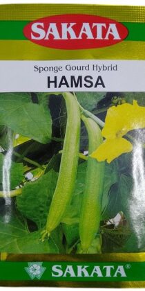 Sakata Hamsa Hybrid Sponge Gourd Seeds