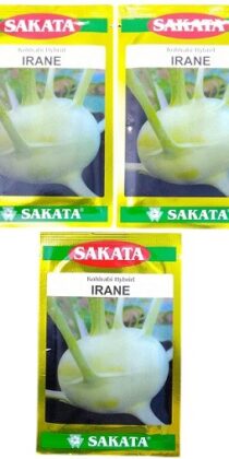 Sakata Japan Irane Kohlrabi Hybrid Seeds
