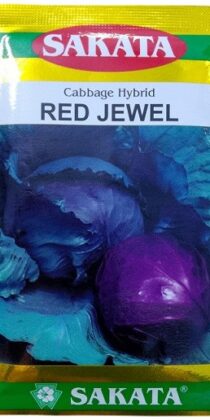 Sakata Japan Red Jewel Hybrid Cabbage Seeds