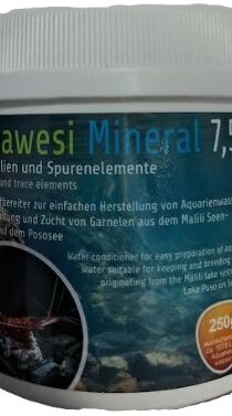 Salty Shrimp Sulawesi Mineral 7.5