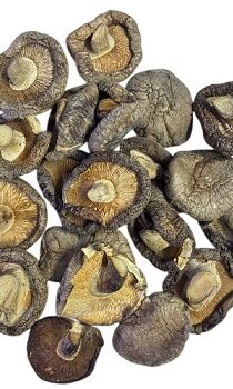 Shiitake Mushroom — Premium Dried Shiitake for Cooking & Wellness (250g)