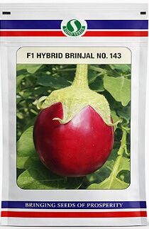 Sungro Seeds F1 No 143 Hybrid Brinjal Seeds — High Yield Round Purple Variety (50g)