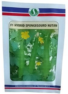 Sungro Seeds Nutan F1 Hybrid Sponge Gourd Seeds — High‑Yield, Early‑Maturing Variety for Commercial Cultivation (100g)