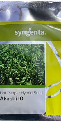 Syngenta AKASHI 10 Hot Pepper Hybrid Seeds