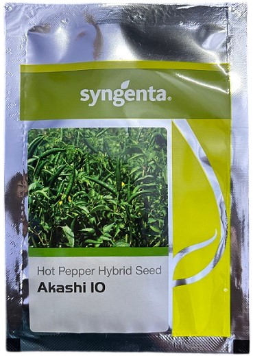 Syngenta Seeds - AKASHI 10 Hot Pepper Seed