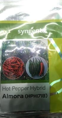 Syngenta ALMORA seeds