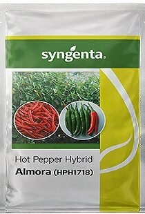 Syngenta ALMORA HPH 1718 Hot Pepper Hybrid Seeds — High‑Yield, Uniform Chili Variety (1500 Seeds)