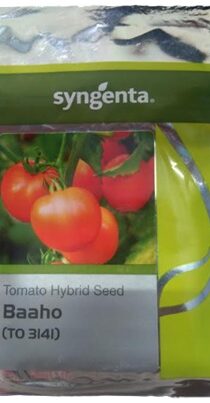 Syngenta Hybrid Tomato Seed