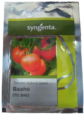 Syngenta Hybrid Tomato Seed