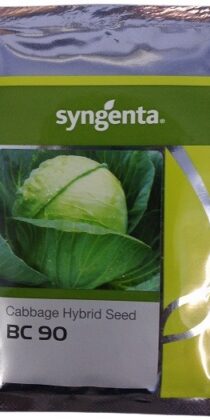 Syngenta BC 90 Hybrid Cabbage Seed
