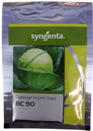 Syngenta BC 90 Hybrid Cabbage Seed