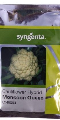 Syngenta C6105 Monsoon Queen Cauliflower Seed