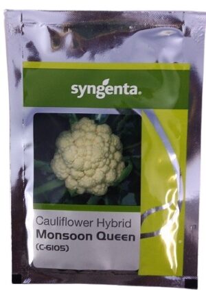 Syngenta C6105 Monsoon Queen Cauliflower Seed