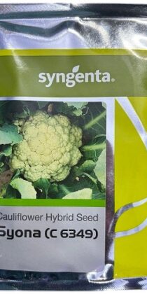 Syngenta C6349 Syona Hybrid Cauliflower Seed — High-Yield Hybrid Variety