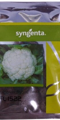 Syngenta CFL 1522 Cauliflower Seed