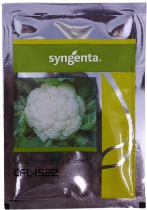 Syngenta CFL 1522 Cauliflower Seed