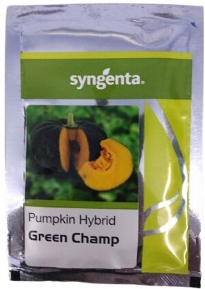 Syngenta GREEN CHAMP Pumpkin Hybrid Seed