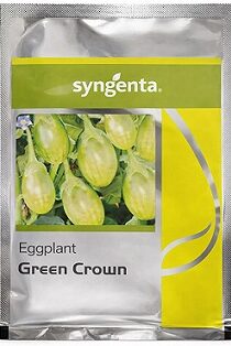 Syngenta Green Crown Hybrid Brinjal Seeds — High Yield Green Eggplant Variety (40g)