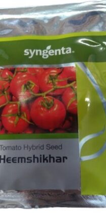 Syngenta Hybrid Tomato Seed