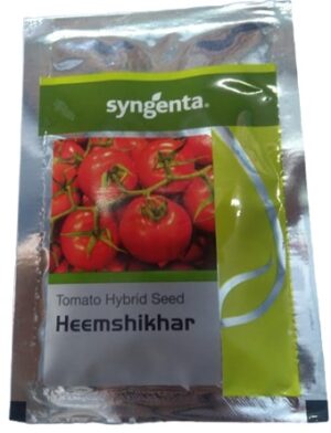 Syngenta Hybrid Tomato Seed