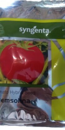 Syngenta Hybrid Tomato Seed