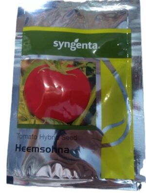 Syngenta Hybrid Tomato Seed