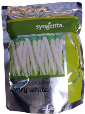 Syngenta Ivory White Radish Seed