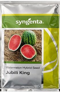 Syngenta Jubili King Watermelon Hybrid Seeds — High Yield Red Flesh Variety (1000 Seeds)