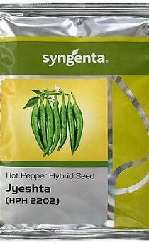 Syngenta Jyeshta HPH 2202 Hybrid Hot Pepper Seeds — High Yield Spicy Variety (1500 Seeds)