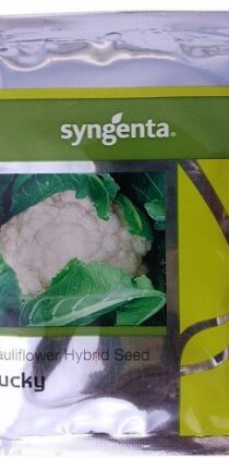 Syngenta LUCKY Hybrid Cauliflower Seed