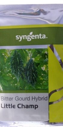 Syngenta Little Champ 75g Bitter Gourd Seeds