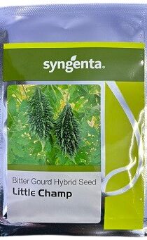 Syngenta Little Champ 20g Bittergourd Hybrid Seeds — High-Yield Commercial Variety