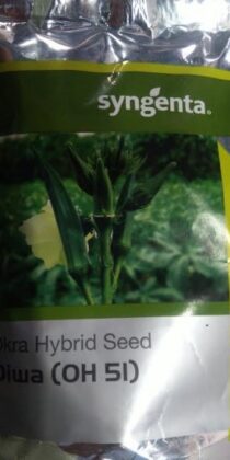 Syngenta Okra Seeds