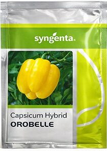 Syngenta Orobelle Hybrid Capsicum Seeds — High Yield Yellow Bell Pepper Variety (1000 Seeds)