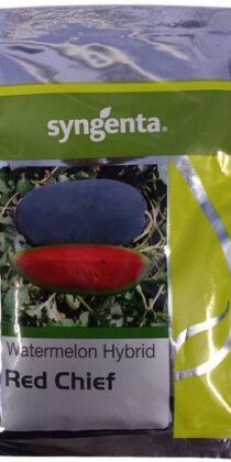 Syngenta Red Chief Watermelon Hybrid Seed