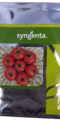 Syngenta ROCKY Hybrid Tomato Seed