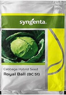 Syngenta Royal Ball BC 51 Hybrid Cabbage Seeds — High Yield Compact Variety (2000 Seeds)