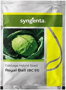 Syngenta Royal Ball BC 51 Hybrid Cabbage Seeds — High Yield Compact Variety (2000 Seeds)