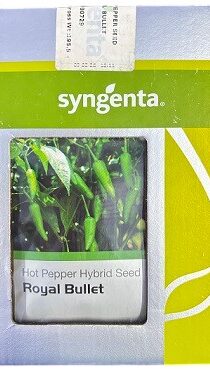 Syngenta Royal Bullet Hot Pepper Hybrid Seeds